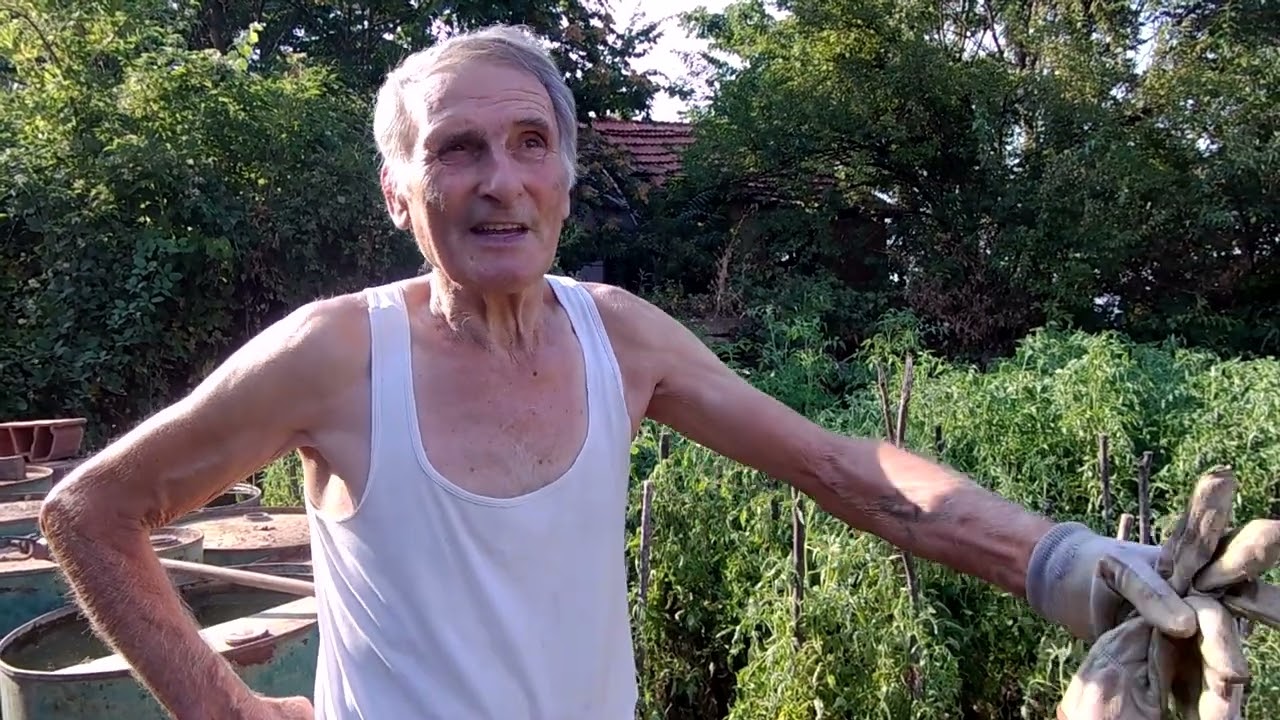 Samoćo i tugo, teška li si  -  Rautovo