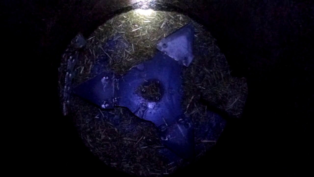 сенорезка простая .