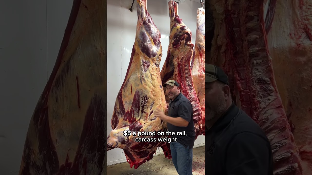 Huge Bison getting ready to meet the butcher's blade‼️ #butcher #shorts