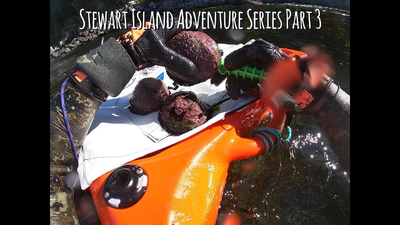 Ep36 Stewart Island Adventure series part 3 Diving for Paua, Kina, Butters, Bluff Oysters, Bluecod