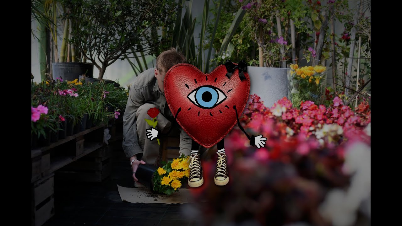 Cedro - Un Corazoncito con Mo&ntilde;o (VISUALIZER)