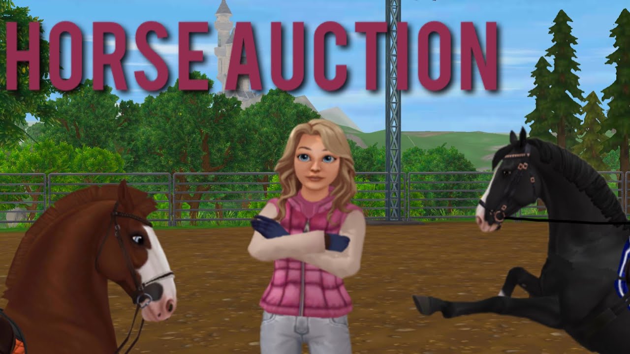 Buying horses for my future lesson program!!!