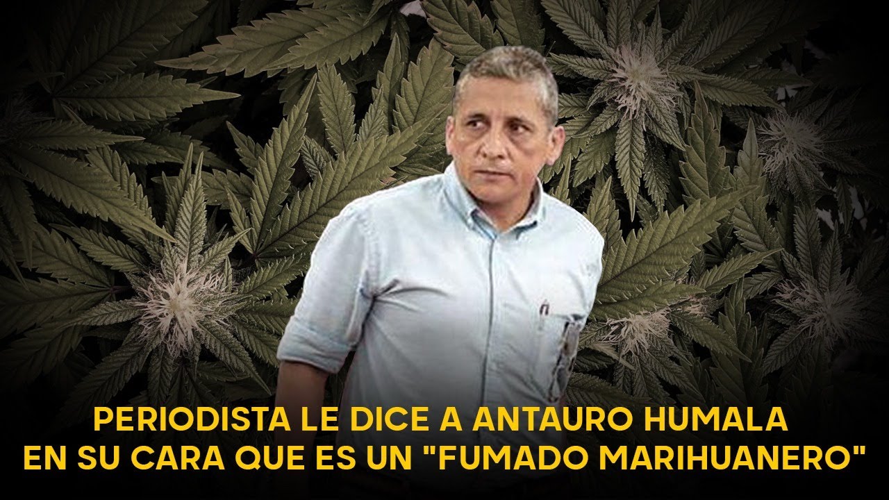 Periodista llama 