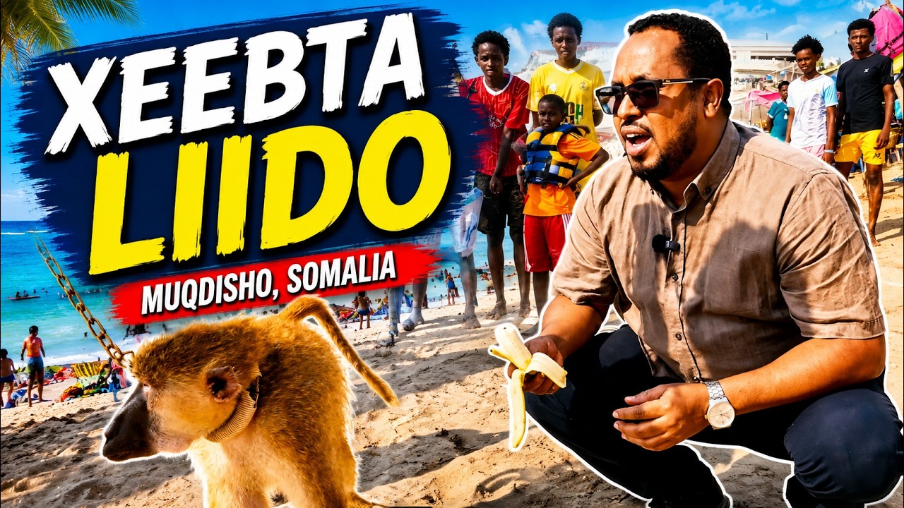 Xeebta Muqdisho waxaa ka socda dalxiis, Baashaalka iyo ganacsiga malaayga