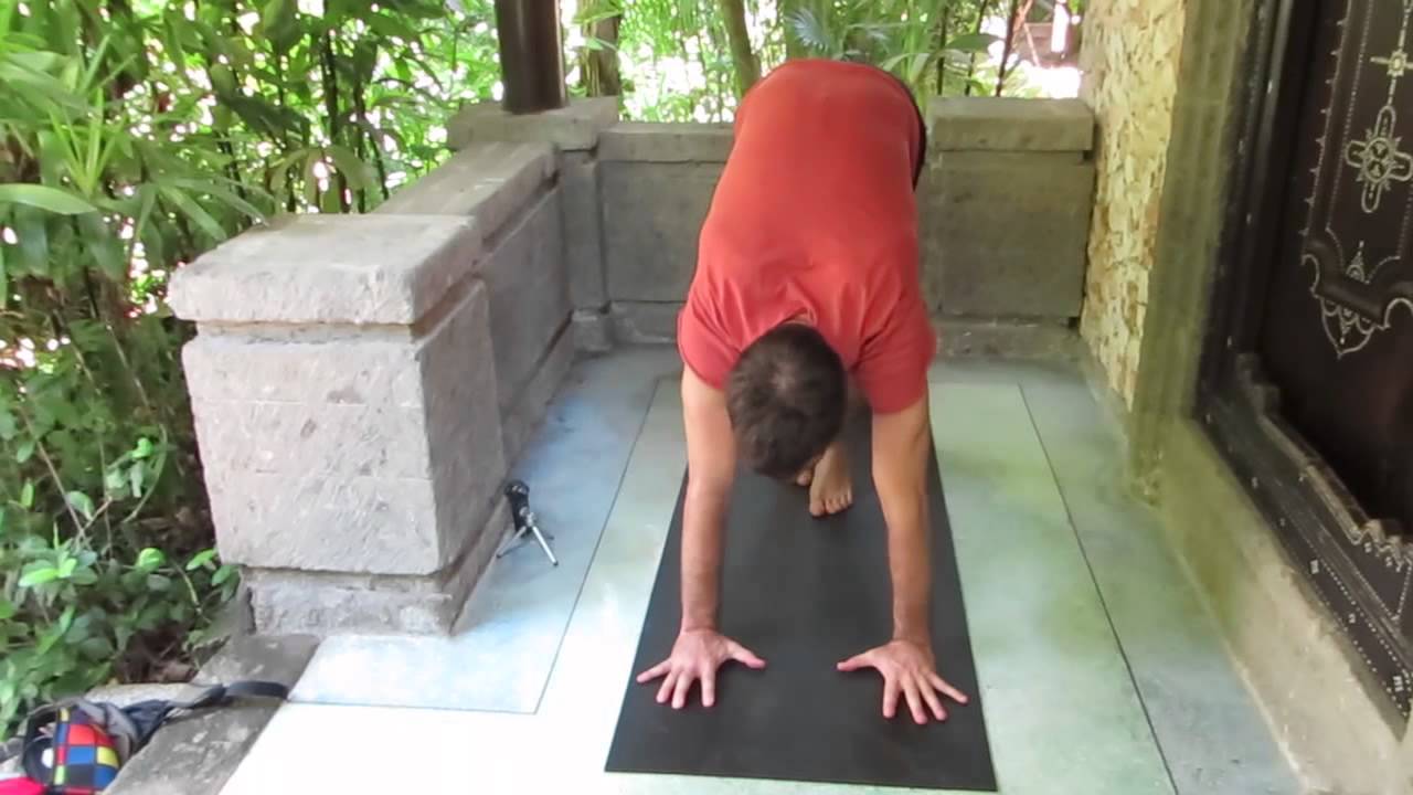 bhujapidasana workshop