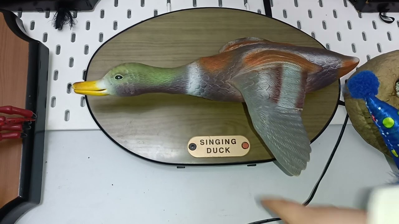 ULTRA RARE singing duck (Rock songs)