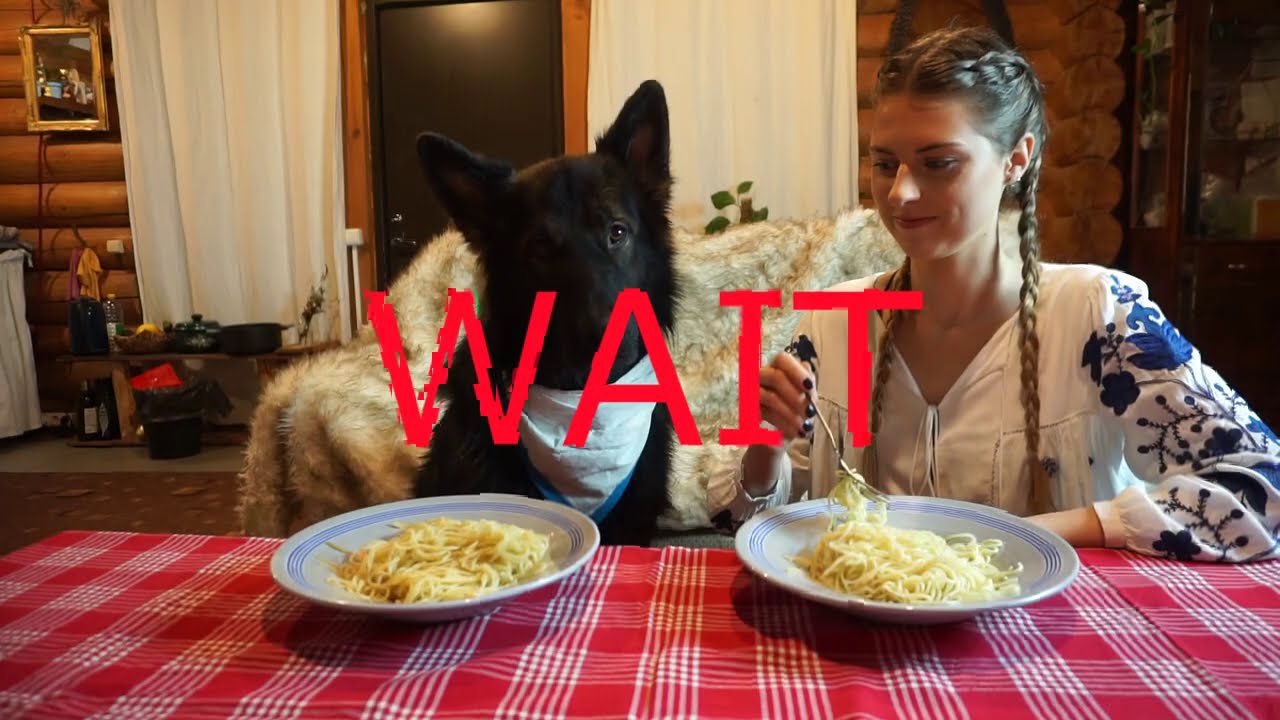 My Dog vs my Girlfriend vs Me - Competition