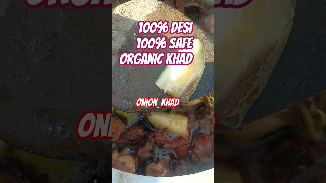 Piyaz Ke Chilke Ka Kamaal | Organic Khad Ke Fayde | 