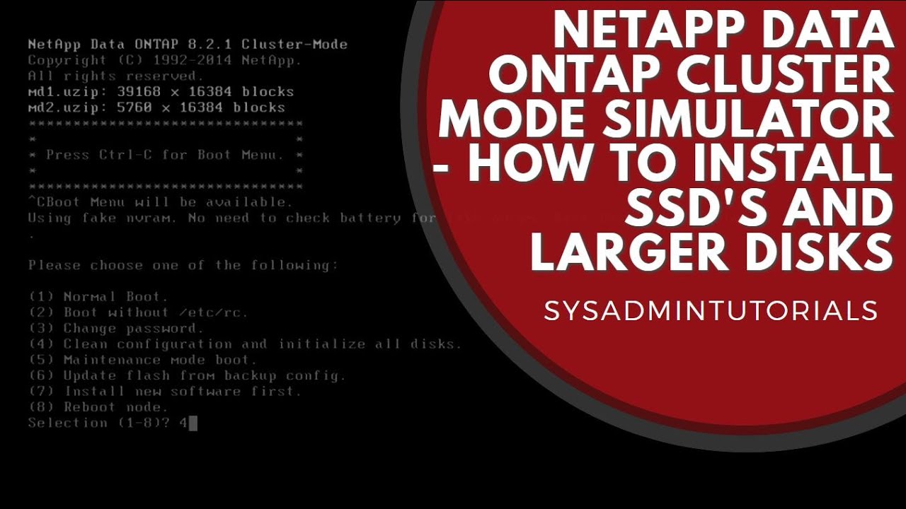 How to create SSD's and larger disks in Netapp Data Ontap Cluster Mode Simulator