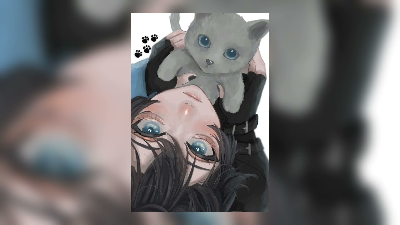 TikTok mashup with different vibes 🐾