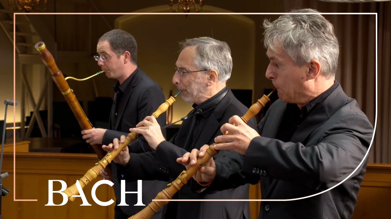 Bach - Sinfonia from Cantata BWV 42 | Netherlands Bach Society