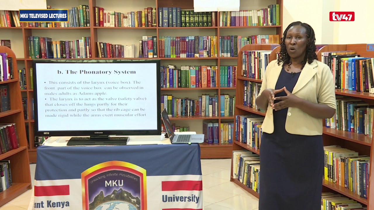 BLA2103: INTRODUCTION TO PHONOLOGY AND PHONETICS LESSON 1