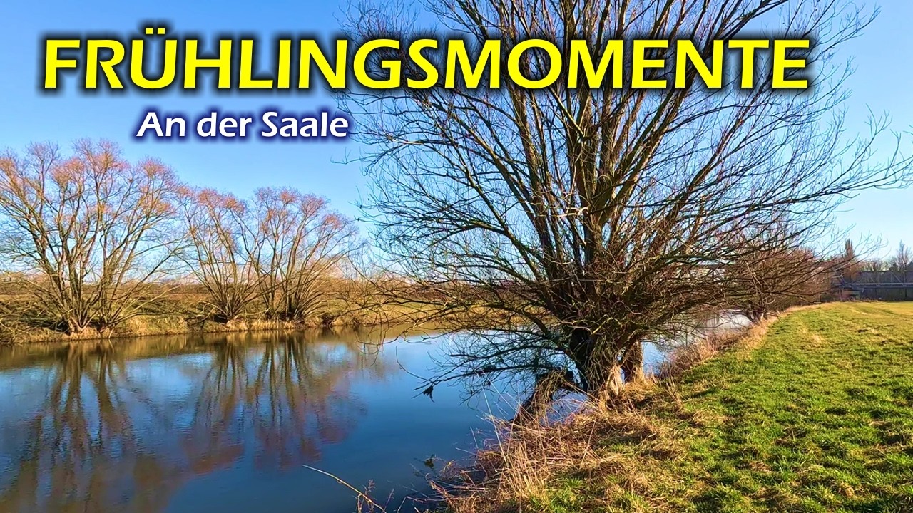 Ein Frühlingsspaziergang an der Saale
