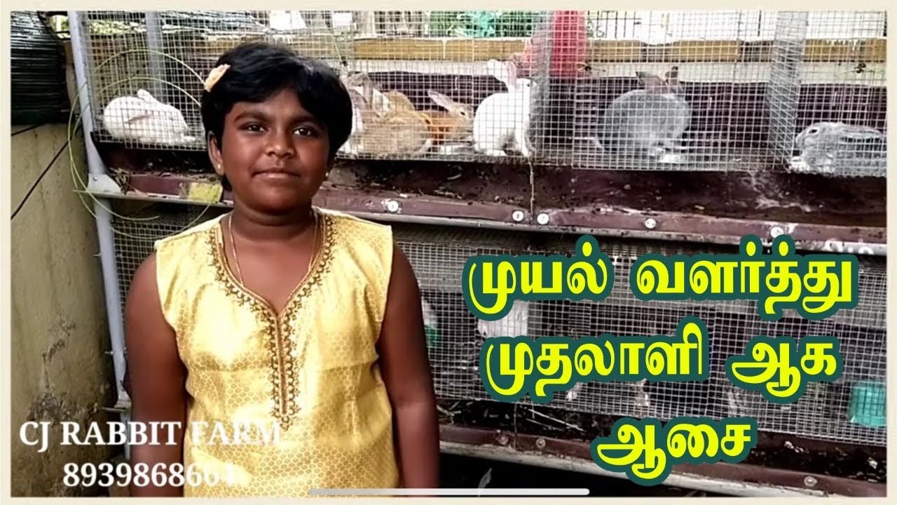 Rabbit Farm in Chennai I best muyal farm|முயல் பண்ணையில் சாதித்த சிறுமி👸rabbit for sales |