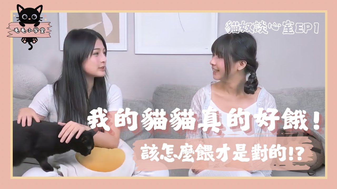 貓咪定食法任食法大PK，怎麼吃才是對主子最好的選擇呢？｜貓奴談心室EP01