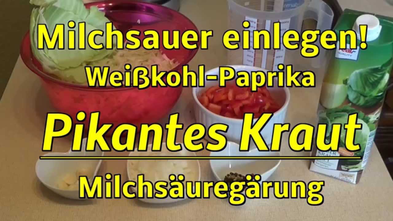 Pikantes Kraut! Milchsauer einlegen! Rezept! Milchs&auml;ureg&auml;rung!