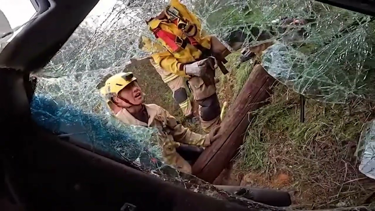 Firefighters Rescue Driver After Mulholland Drive Cliff Fall