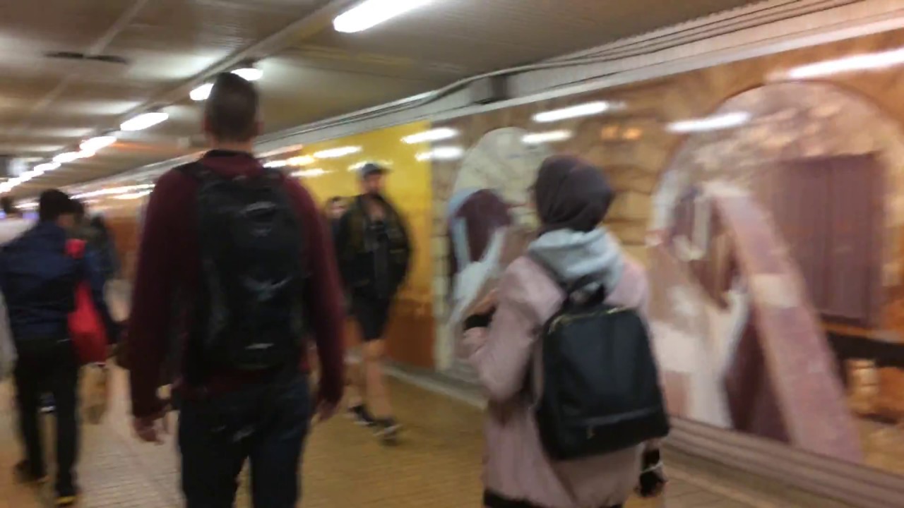 A bus ride through Sydney Australia (343)