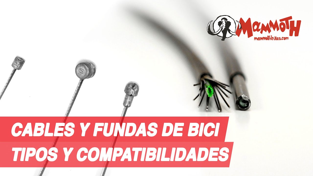 Cables y fundas: Tipos y compatibilidades
