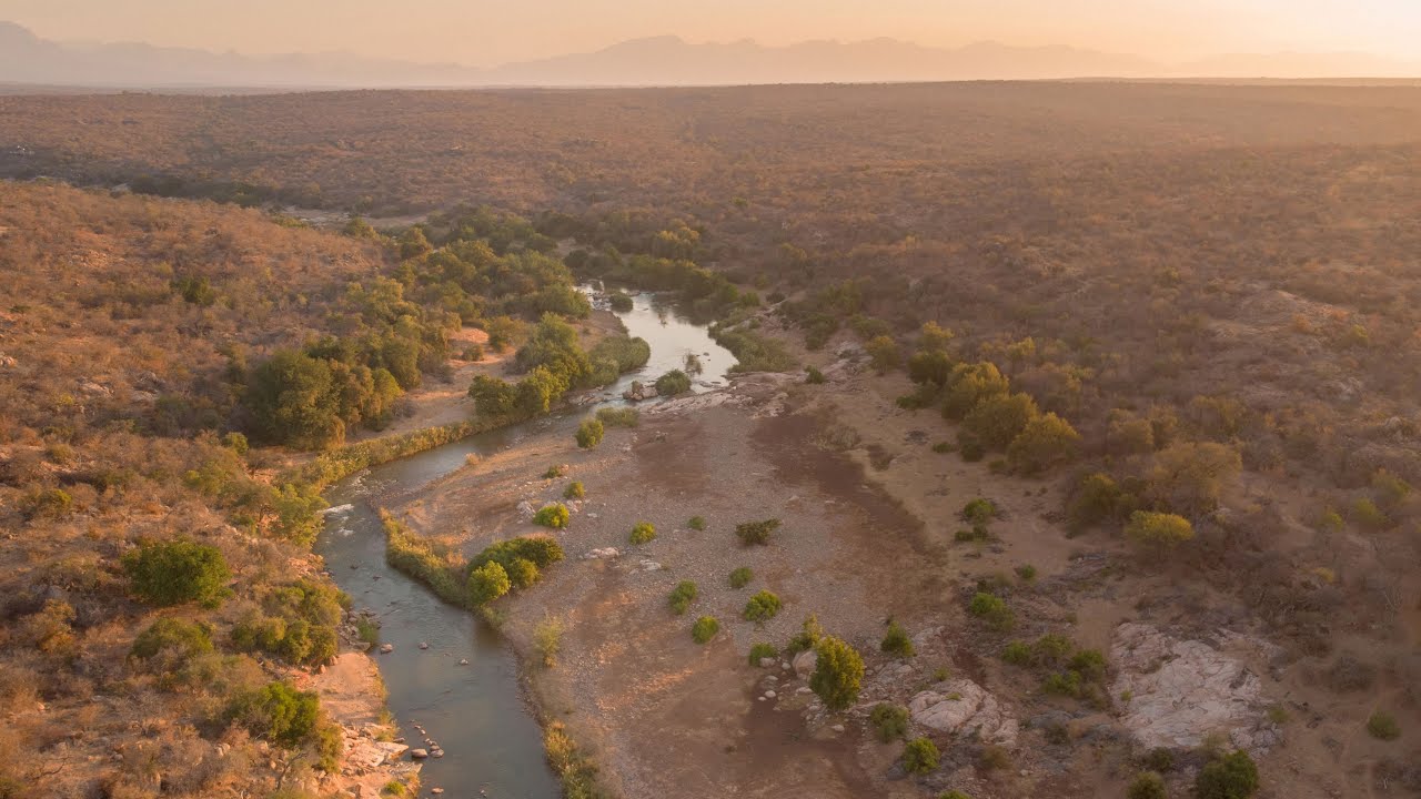 Break away - Lissataba Game Reserve