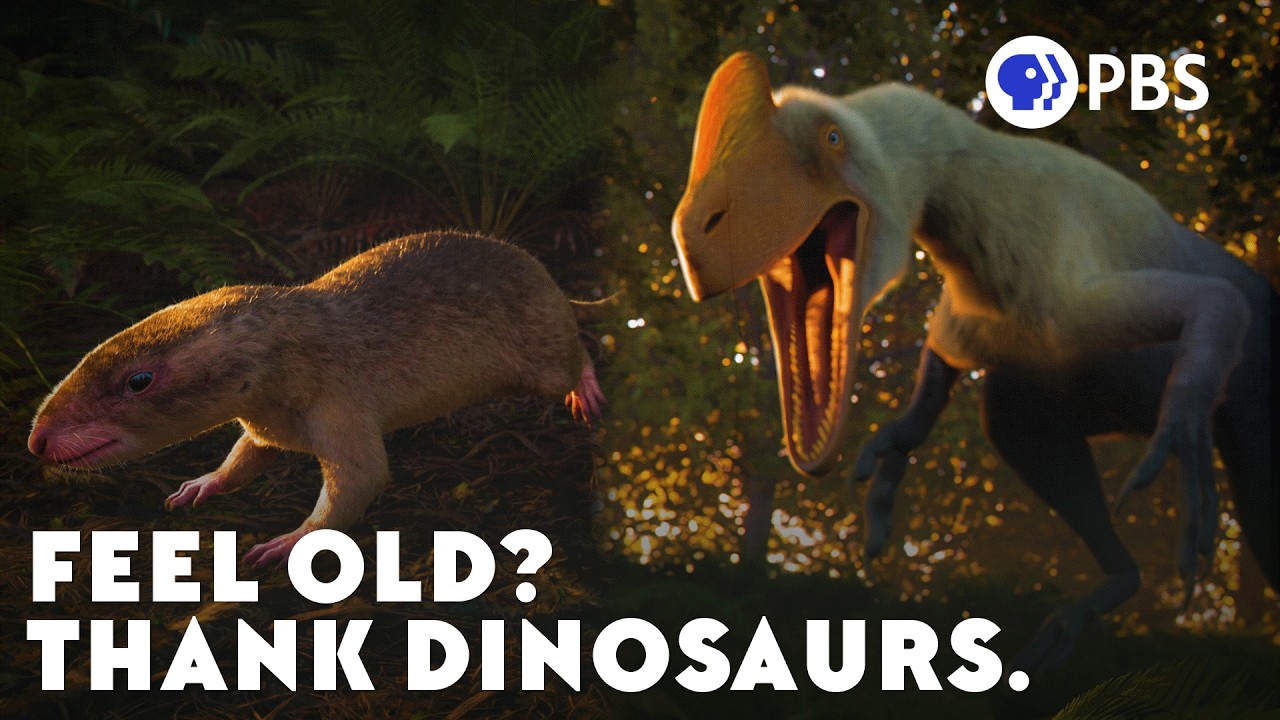 How Dinosaurs May Have Cursed Us With Aging