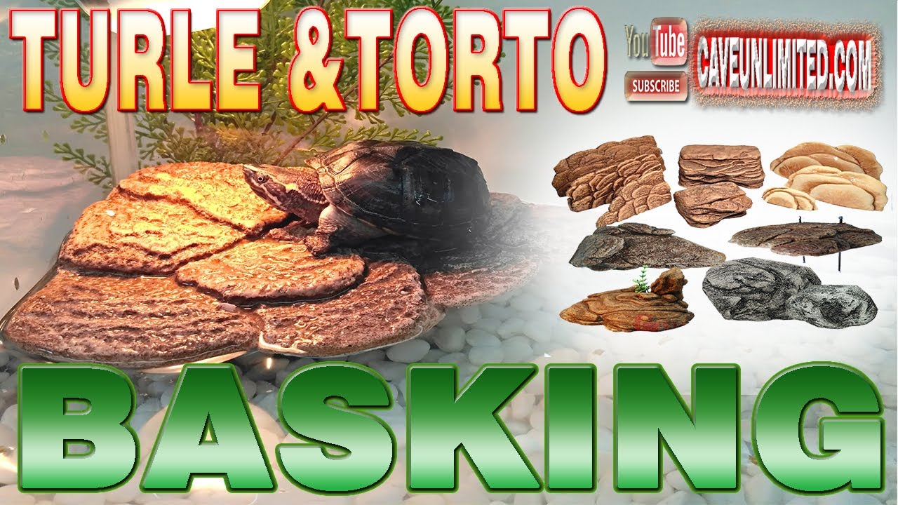 TYPE BASKING SPOT FOR REPTILE TURTLE DAN TORTOISE