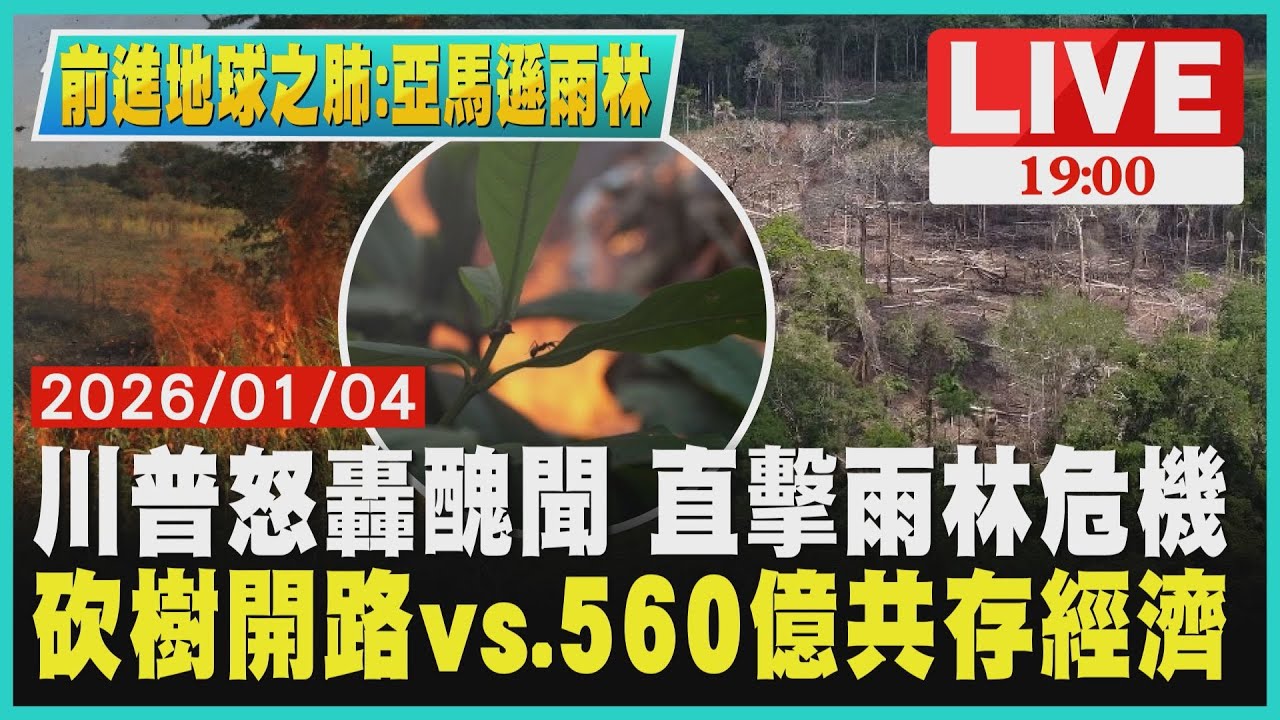 巴西直擊》川普轟「醜聞」！亞馬遜砍樹開路真相 　雨林崩壞中！揭密560億超級食物「共存經濟」與致命「藍碳」危機｜前進地球之肺：亞馬遜雨林特別報導