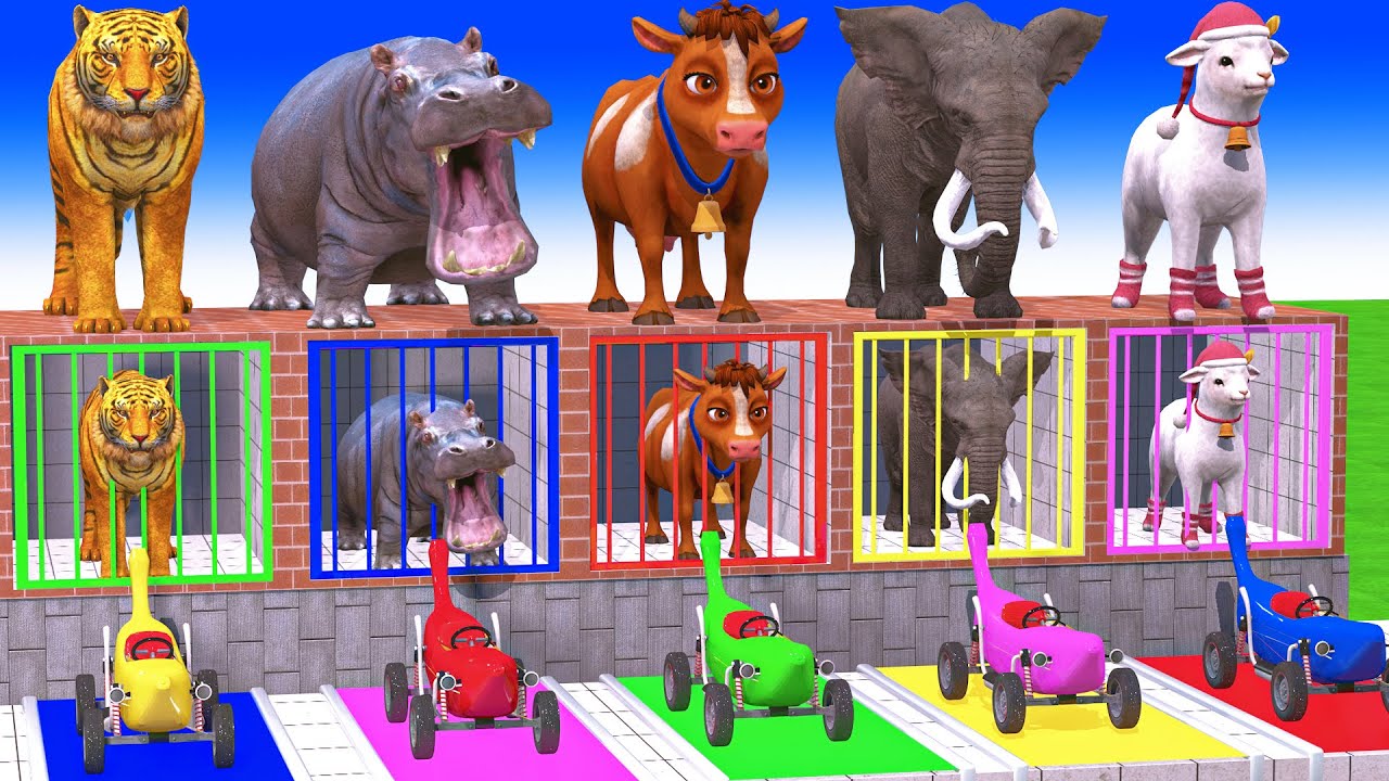 Long Slide Game With Elephant Gorilla Buffalo Hippopotamus Tiger 3d Animal Game Funny 3d Animals