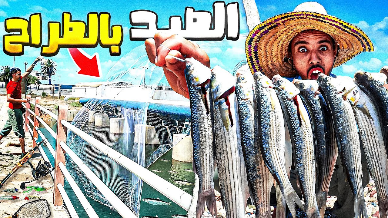 الحياة البرية:إشترية شبكة🕸️صيد جديدة تحدي صيد سمك البوري🐟يوم كامل في الوادي🏕️
