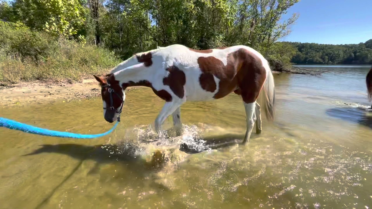 Salt fork horse camping day 1!