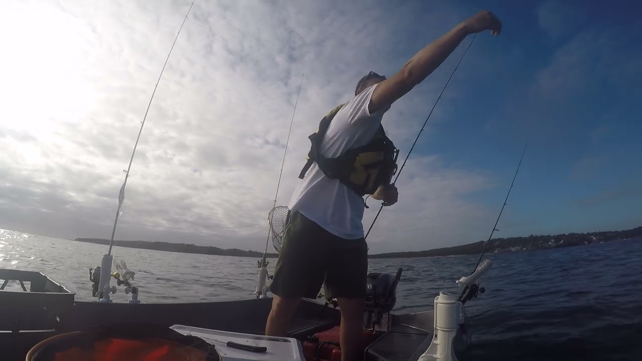 Polycraft Tuffy 300 Offshore Bait Fishing Cronulla 12/02