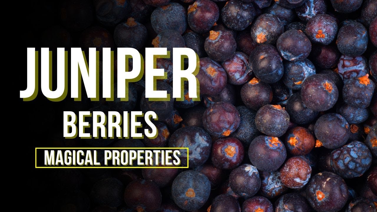 Juniper Berry Magical Properties