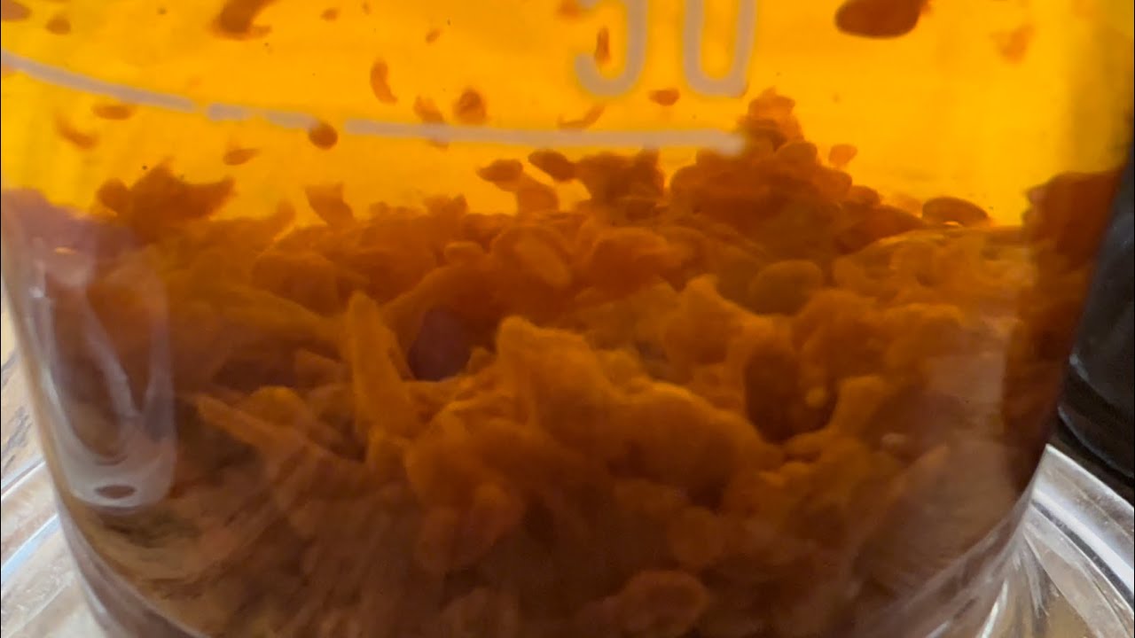 Precipitation of Ferric Hydroxide in RamZland!⚗️ FeCl3 + 3NaOH → Fe(OH)3 + 3NaCl #STEM #Science