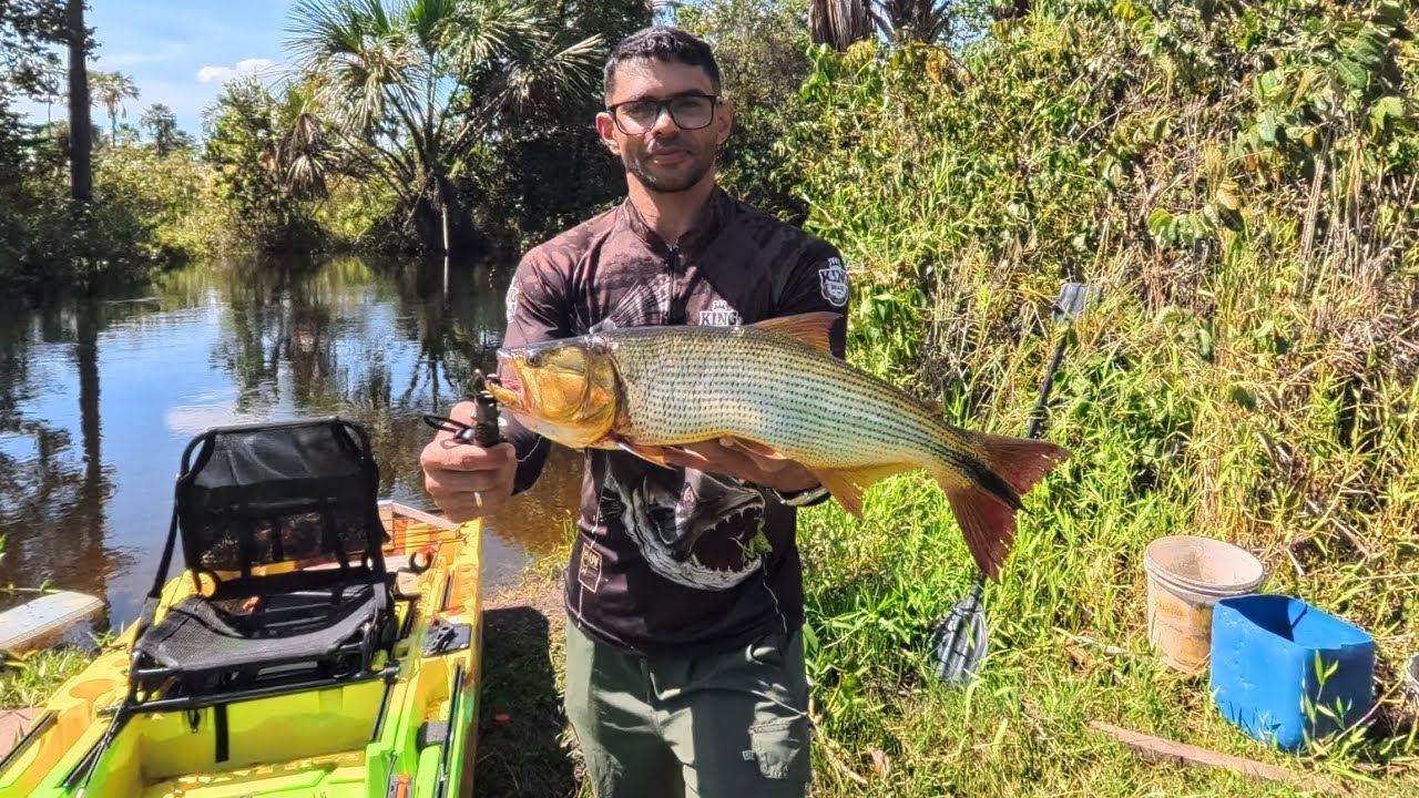 MUITO PIAU, PACU E A CAPTURA INCRÍVEL DE UM DOURADO GIGANTE!
