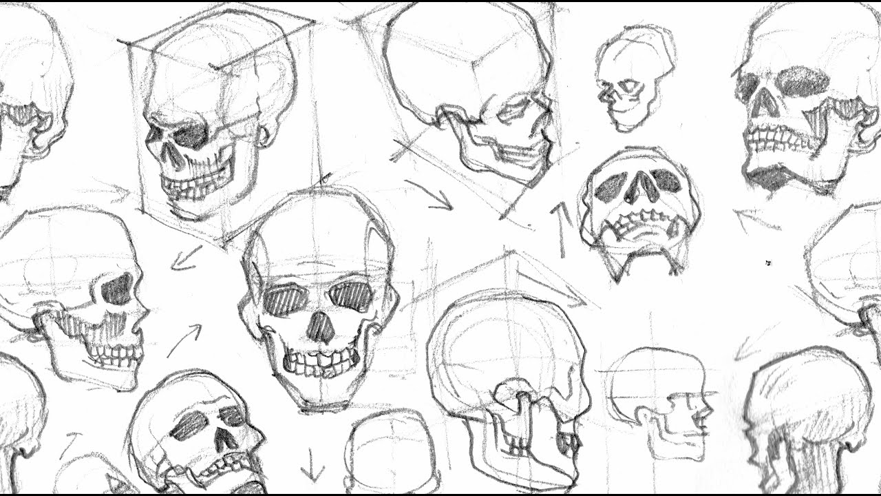 Drawing A Skull (From Different Angles) (Time-lapse)