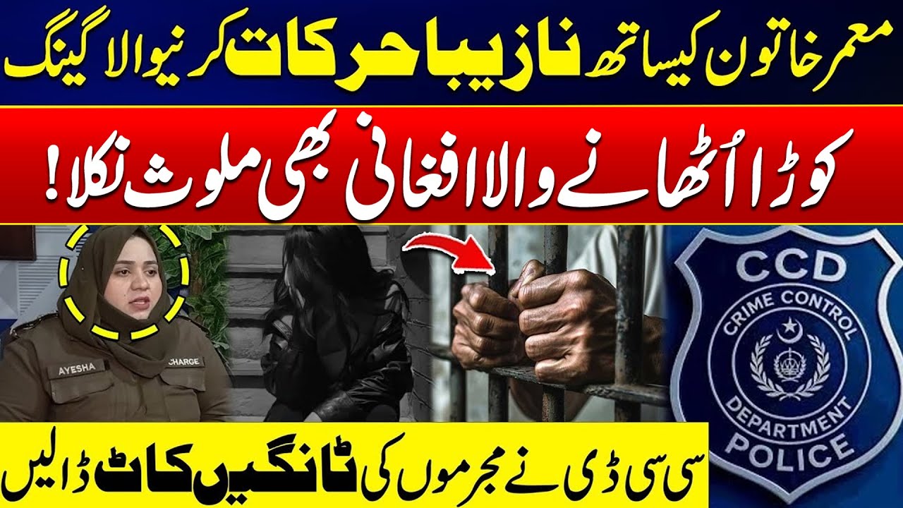 From Complaint To Resolution - CCD Solved Major Case - Illegal Afghan Citizen Involvement Exposed