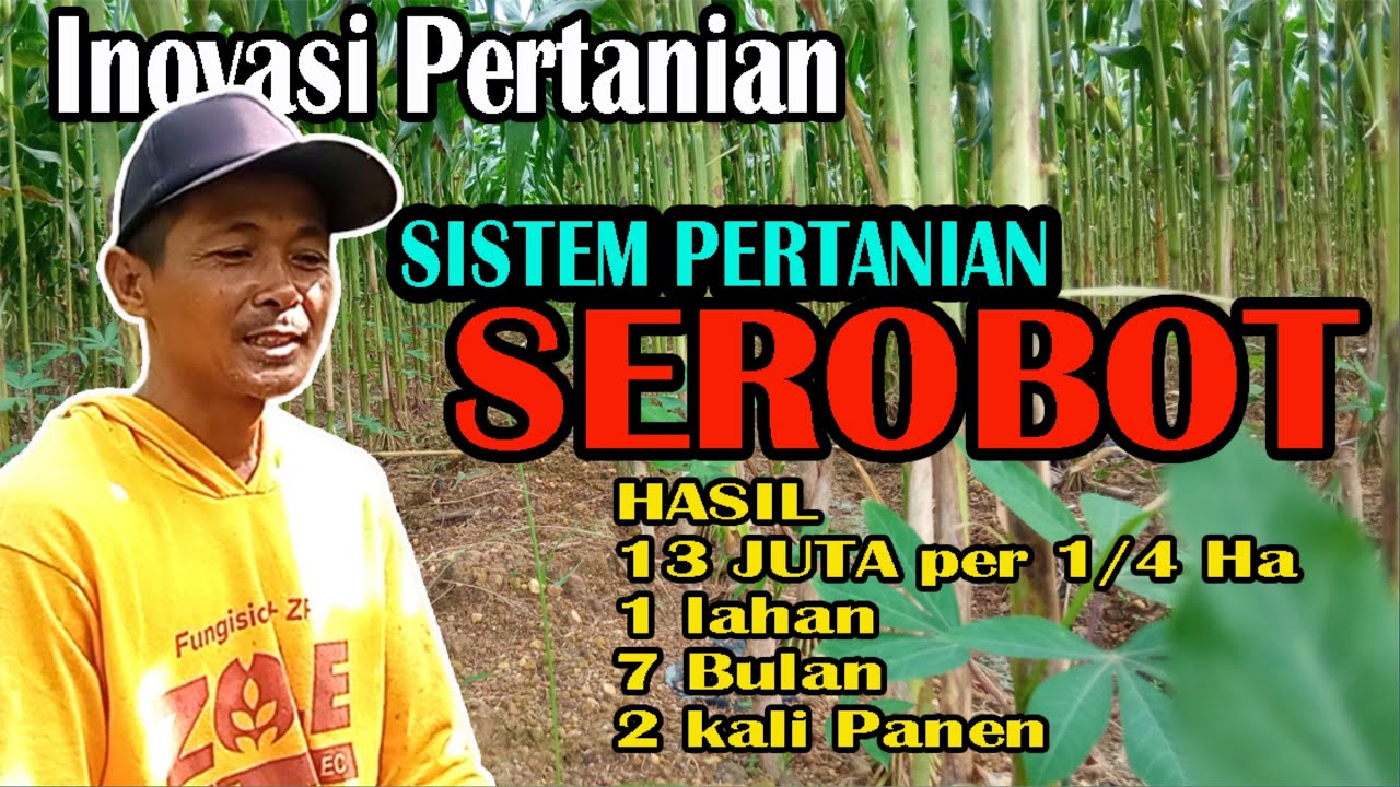 Inovasi Sistem Pertanian - Sistem Pertanian SEROBOT lebih Hemat dan Untung