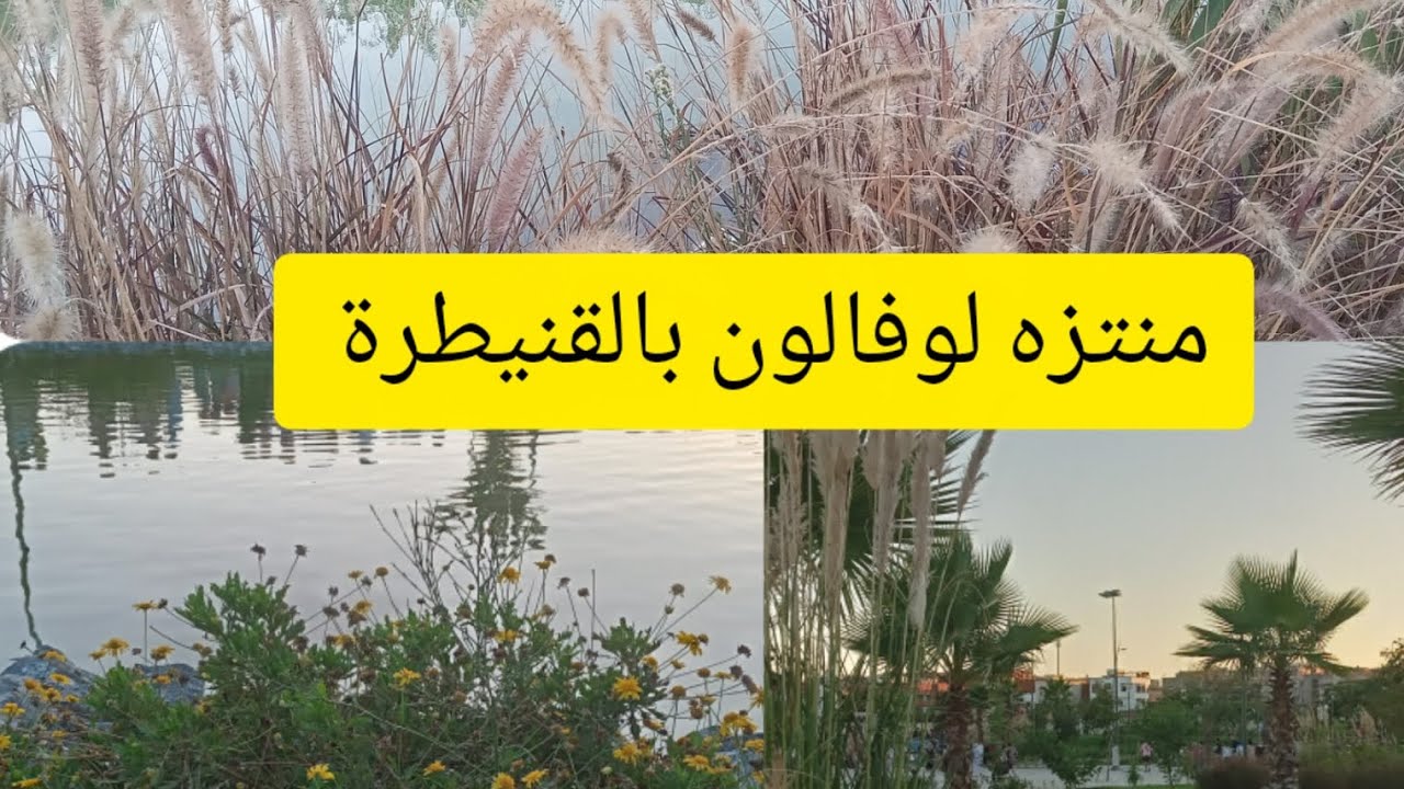 #حديقة لوفالون بالقنيطرة واخيرا تم اقتتاح المنتزه #القنيطرة  #المغرب