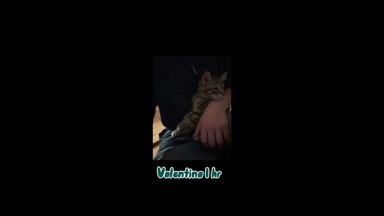 Valentina 1 hr