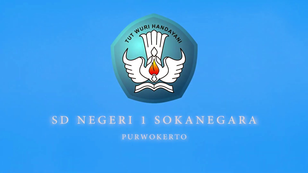 SELAYANG PANDANG SDN 1 SOKANEGARA