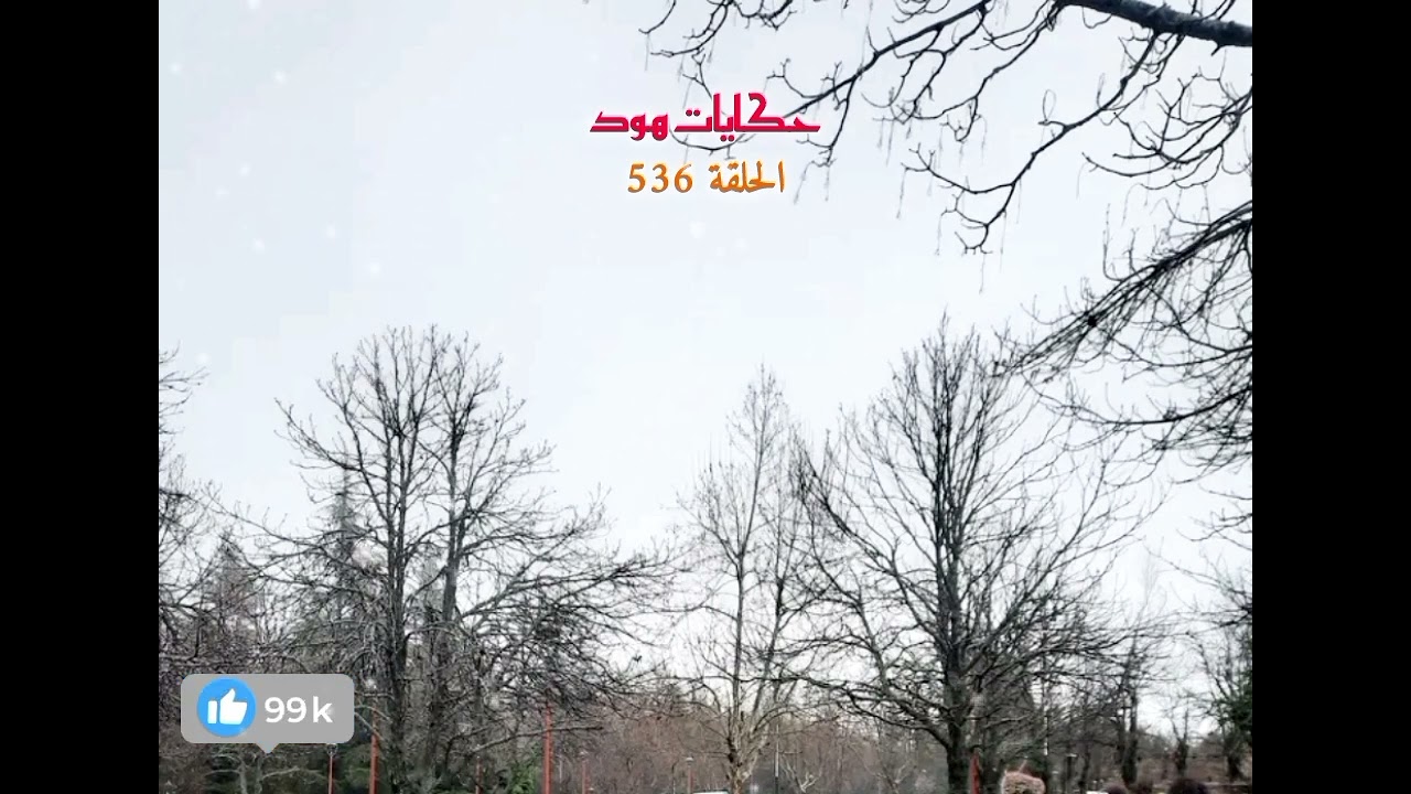 شكون قت....لو ؟ وعلاش تقت....ل ؟
