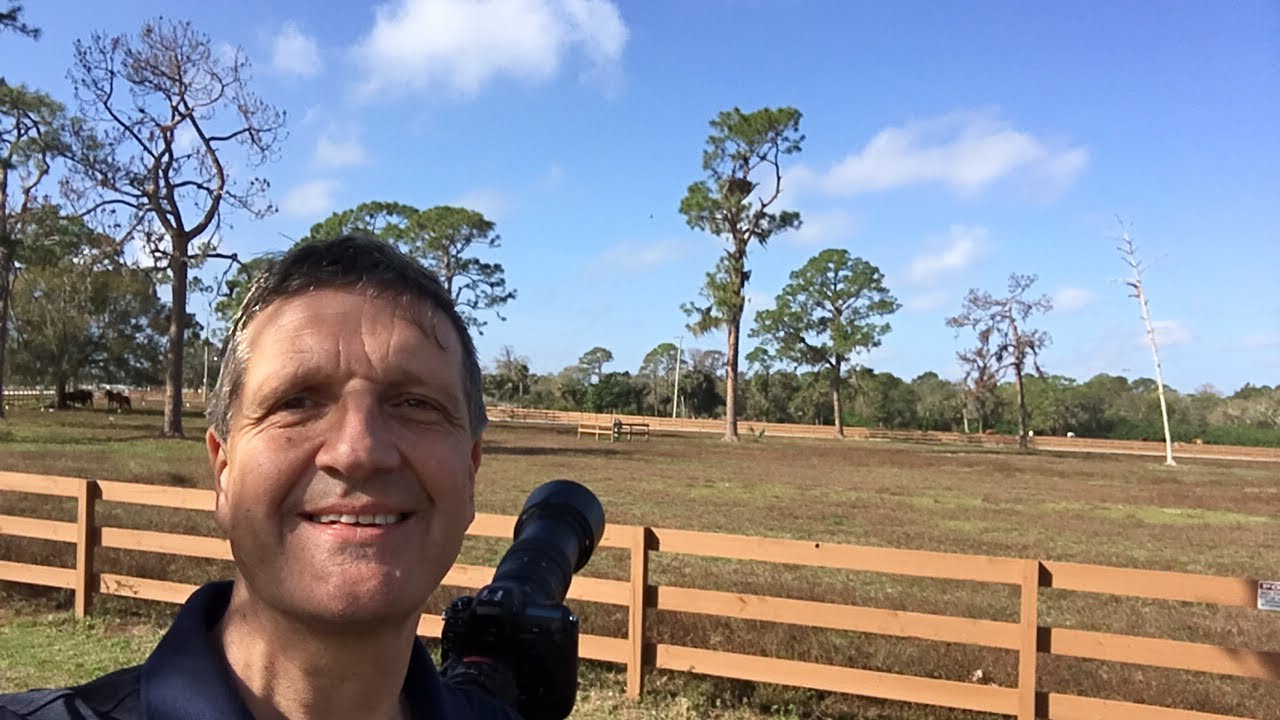 02/12/2018 Eagle's Nest (SWFL) - Part 1/2 - Talented Talons 360