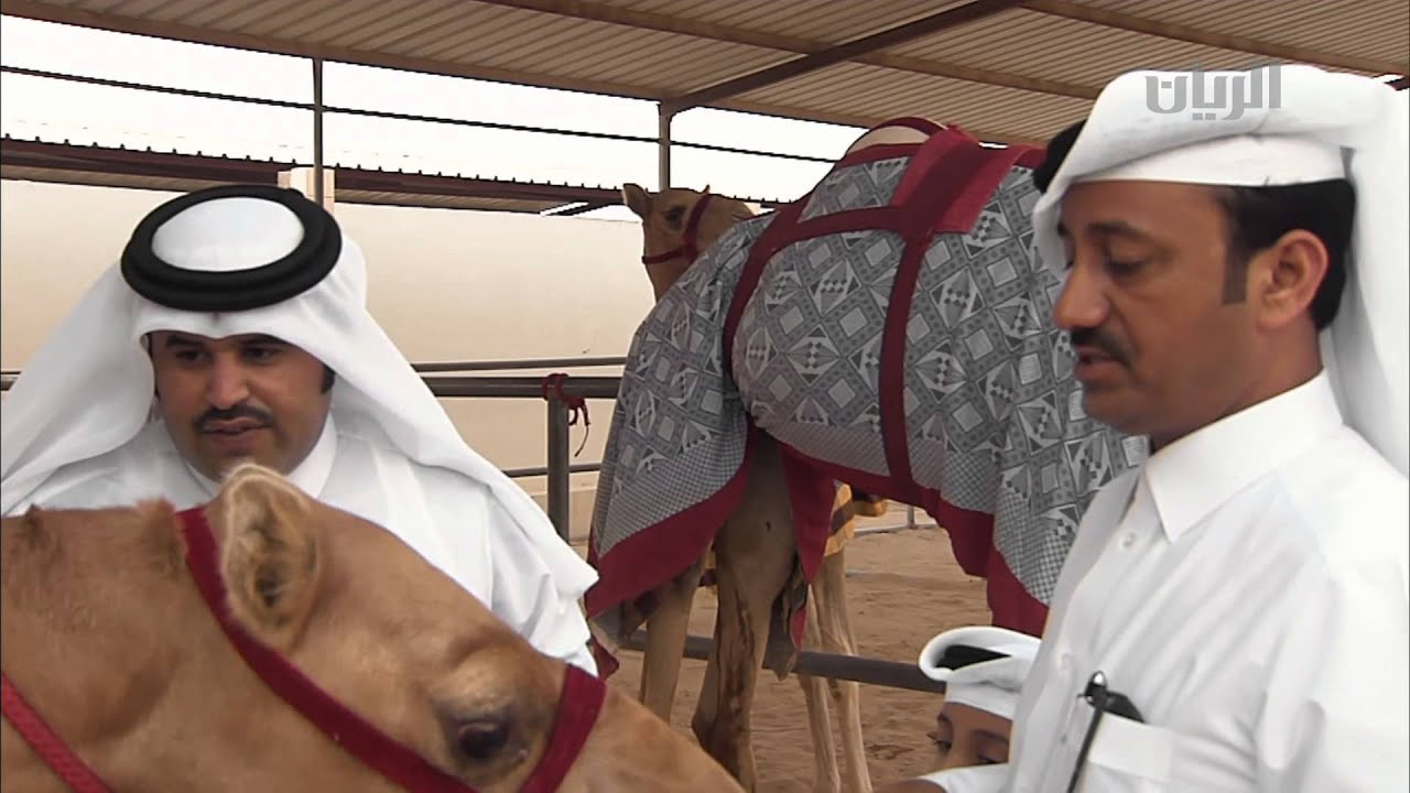 أخبار الريس - الحلقة الثانية عشرة - 17-10-2015