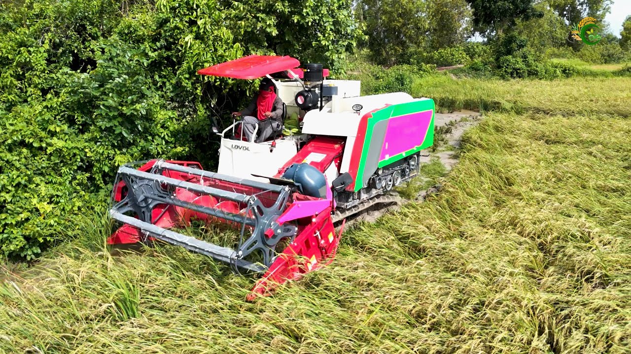 Awesome New Model Rice Harvester LOVOL RG102 Cropping Fastest Speed Rice Harvest Machine