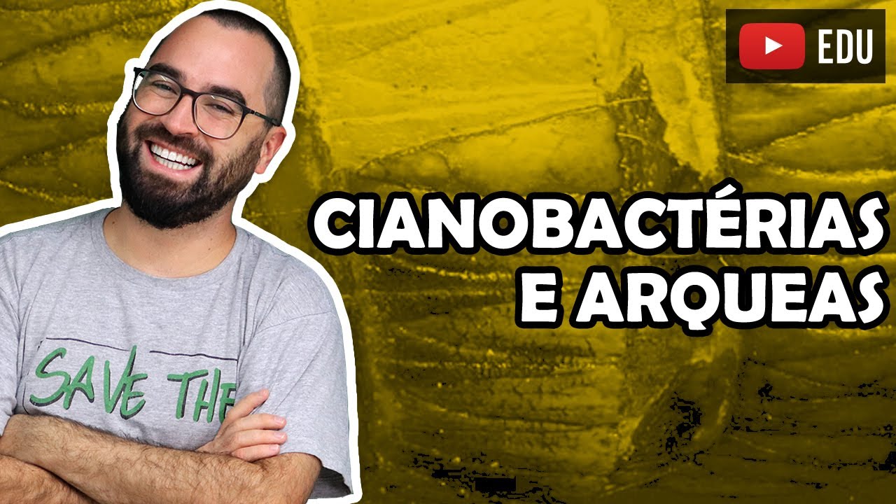 Cianobact&eacute;rias e Arqueas - Aula 07 - M&oacute;dulo IV: Microbiologia, Fungos e Protistas | Prof Gui