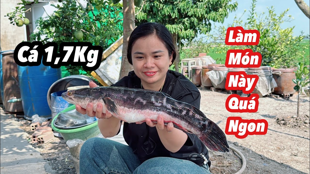 CÁ LÓC BÔNG 1,7KG LÀM MÓN NÀY QUÁ CUỐN | Bông Lúa Đồng Tháp