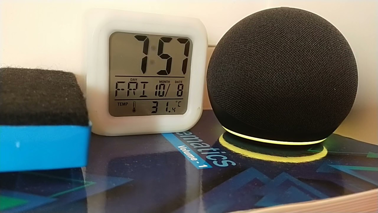 Alexa Can't Say Bad words🤣🤣🤣