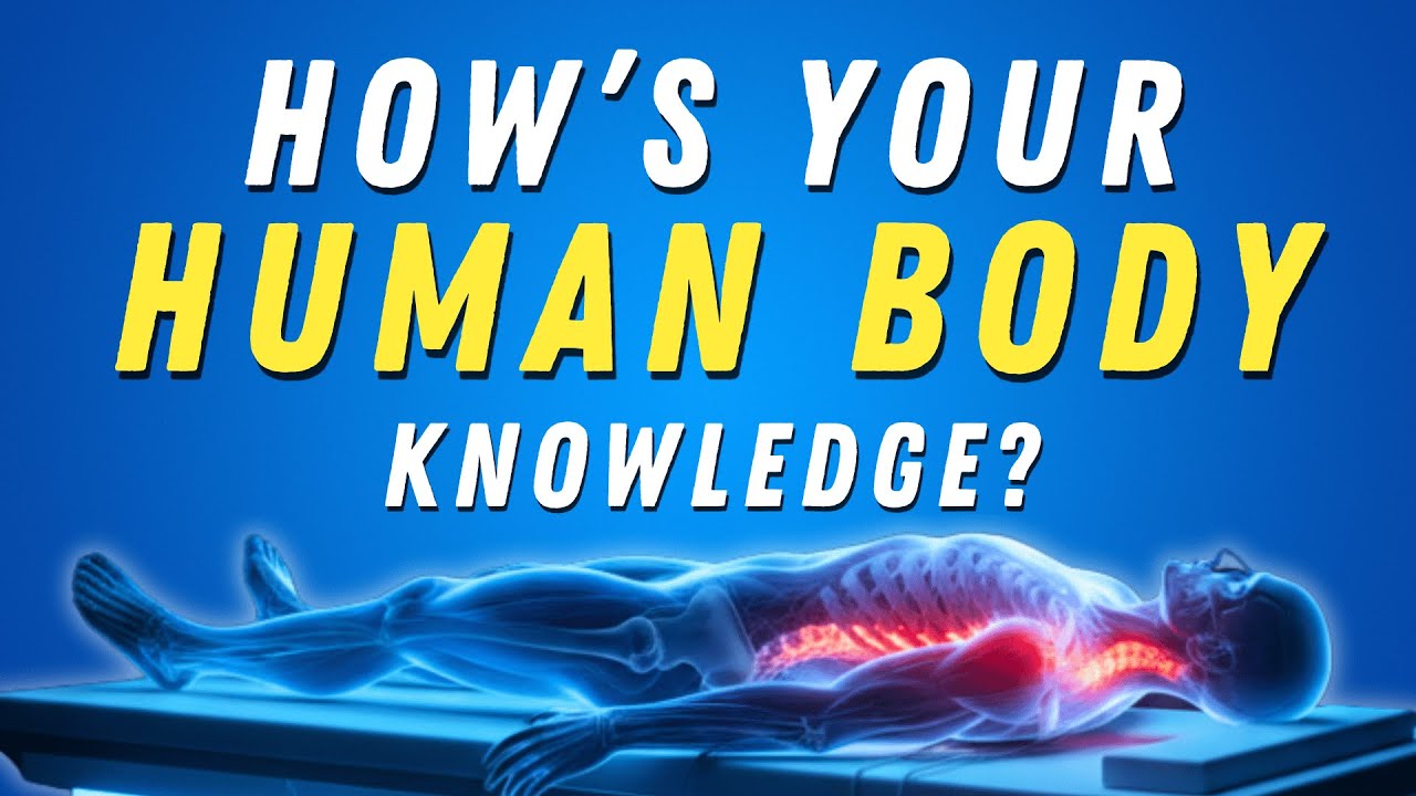 Human Body Facts You Probably Should Know - Quiz