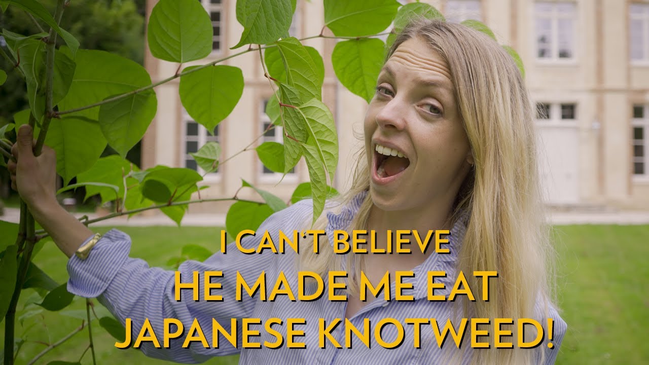 He made me eat JAPANESE KNOTWEED! - How to renovate a chateau (Without killing your partner) ep. 28