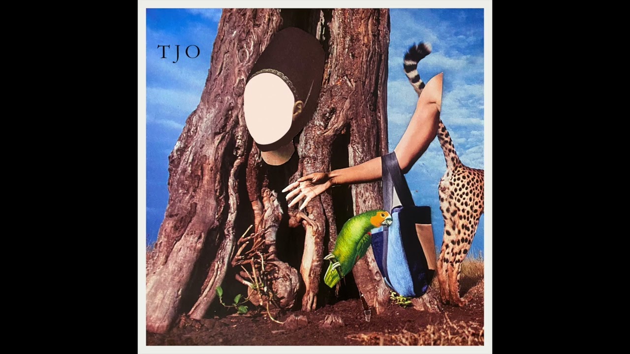 Tara Jane O'Neil- The Cool Cloud of Okayness (full album)